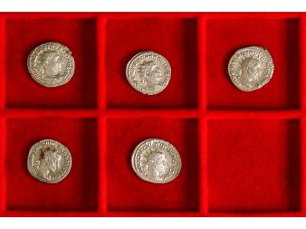 Lote 1161