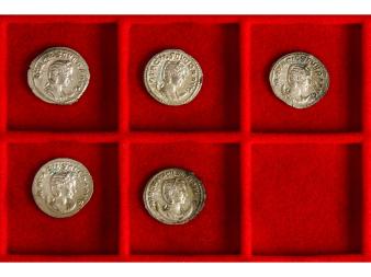 Lote 1158