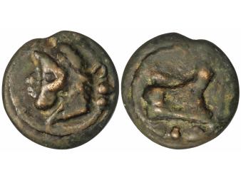 Lote 1104