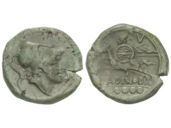 Lot 2002