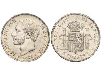 Lote 204