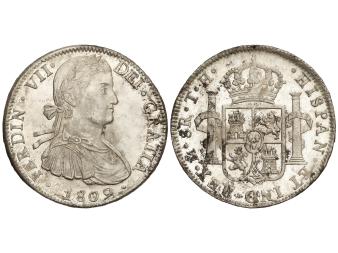 Lote 329