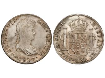 Lote 331