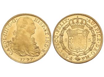 Lote 304