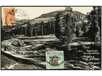 Lot 546
