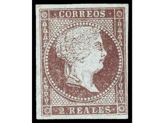 Lote 113