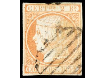 Lote 229
