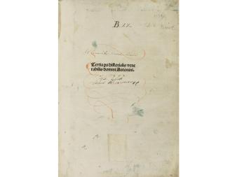 Lote 323