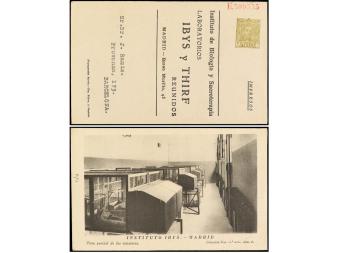Lot 891