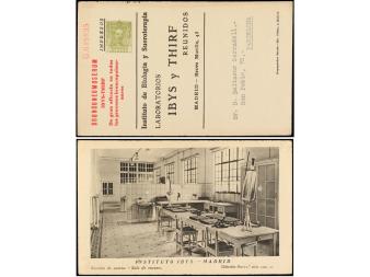 Lot 892