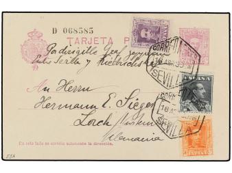 Lot 804