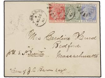 Lot 2555