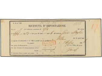 Lot 2919