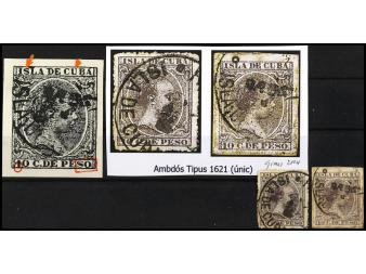 Lote 479