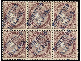 Lote 229