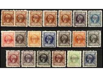 Lote 1172