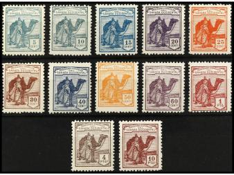 Lote 1263