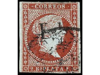 Lote 1979
