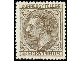 Lote 281