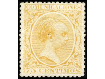 Lote 506