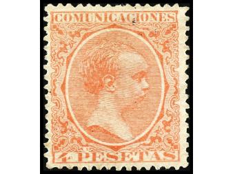 Lote 507