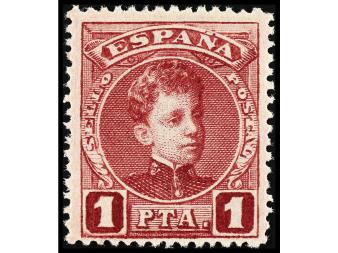 Lote 533