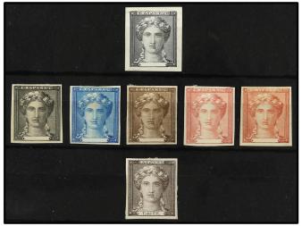 Lote 338