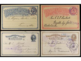 Lot 1951