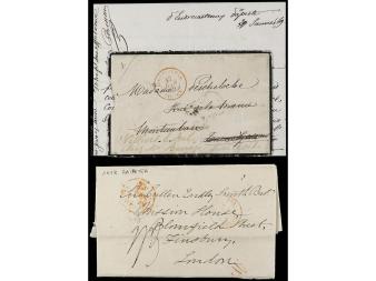 Lot 2491