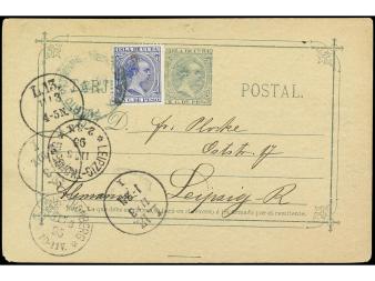 Lote 1365