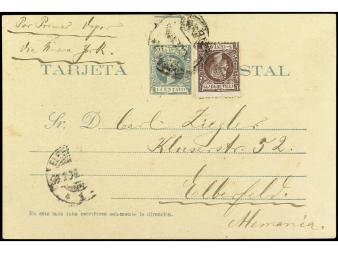Lote 1371