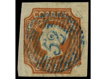 Lot 2551