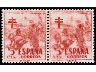 Lote 800