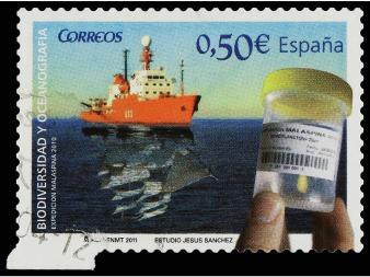 Lote 849