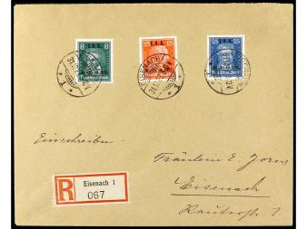 Lote 1309