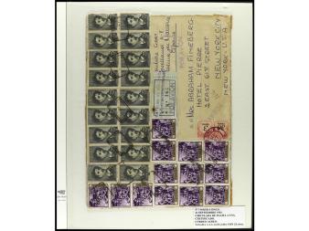 Lote 1263