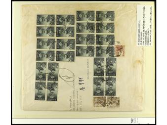Lote 1258