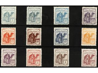 Lote 1264