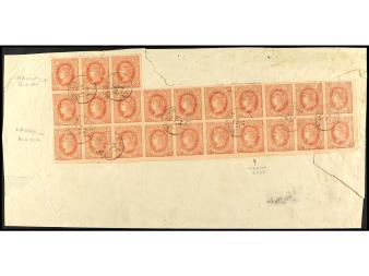 Lote 291