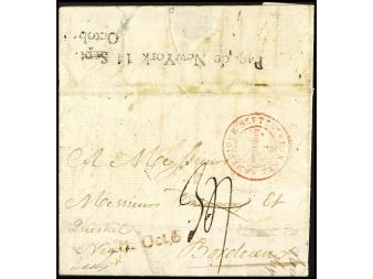 Lote 2147