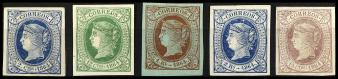Lote 294