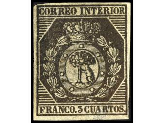 Lote 243