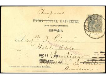 Lote 423
