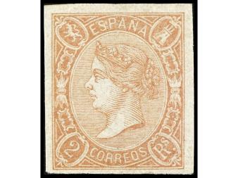 Lote 305