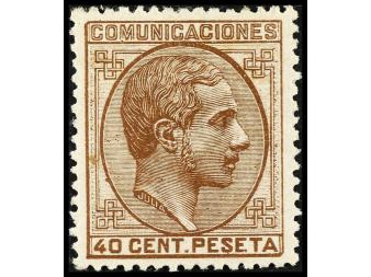 Lote 404