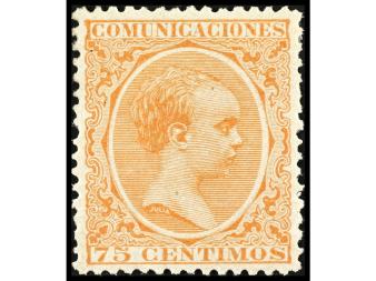 Lote 429