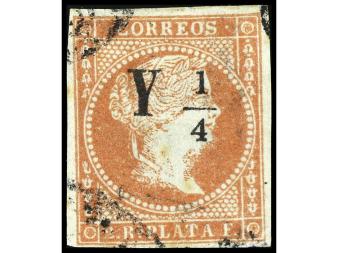 Lote 1981