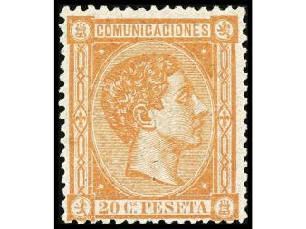 Lote 247