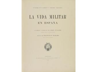 Lote 10