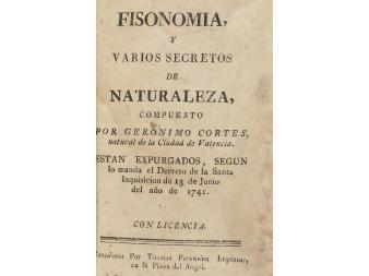 Lote 38